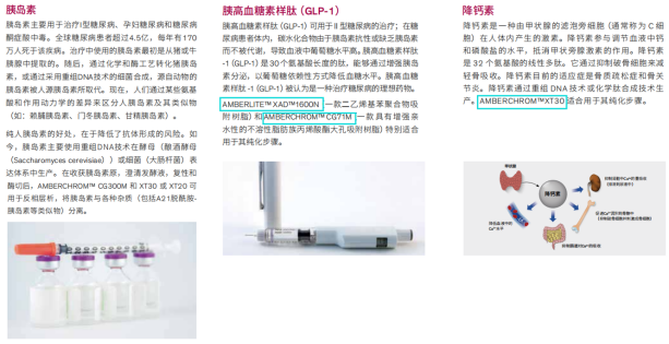 63102ac2ed0c8.png 444.png